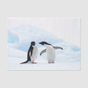 Adelie Penguins Tissue Paper