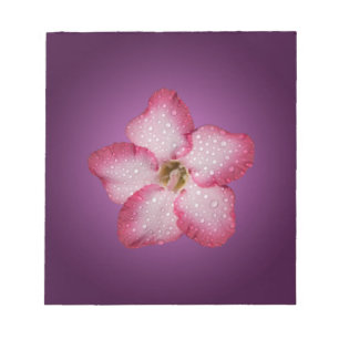 Adenium Pink Flower Flora Gradient Violet Notepad