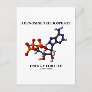 Adenosine Triphosphate (ATP) Energy For Life Postcard