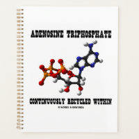 Adenosine Triphosphate Continuously Recycled ATP