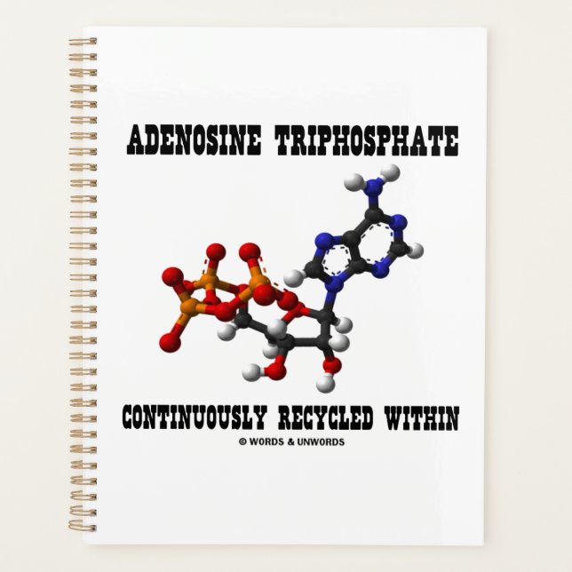 Adenosine Triphosphate Continuously Recycled ATP Planner (Front)