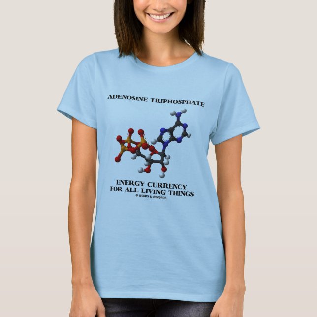 Adenosine Triphosphate Energy Currency For All T-Shirt (Front)