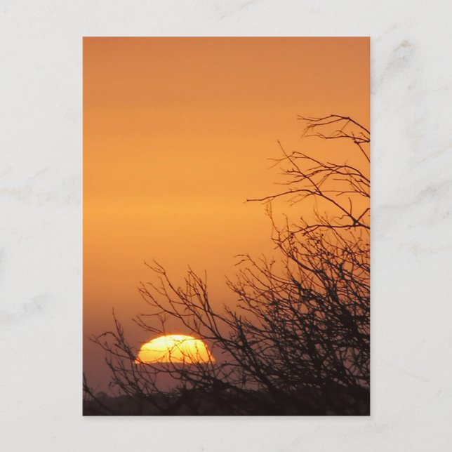 Adieu à une autre carte postale Sunset Day (Devant)
