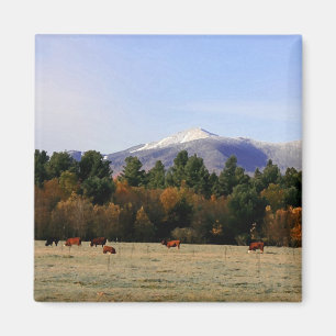 Adirondack aimant agricole