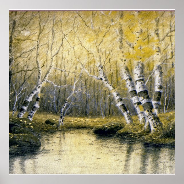Adirondack Birches Poster (Front)