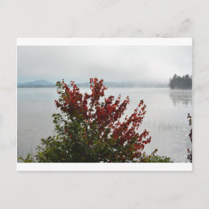 Adirondack Morning Mist Postcard