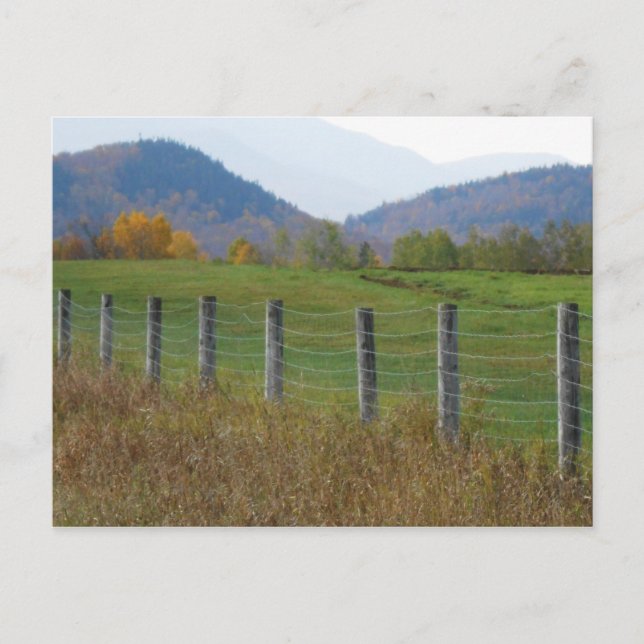 Adirondacks Fire Road North Elba New York Postcard (Front)