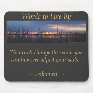 ADJUST YOUR SAILS - Marsh Sunset Mouse Pad
