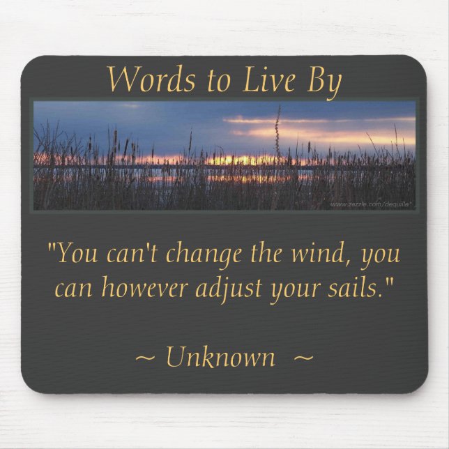 ADJUST YOUR SAILS - Marsh Sunset Mouse Pad (Front)
