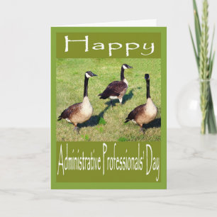 administrative Pro day geese Card
