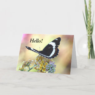 Admiral Butterfly Greeting Card