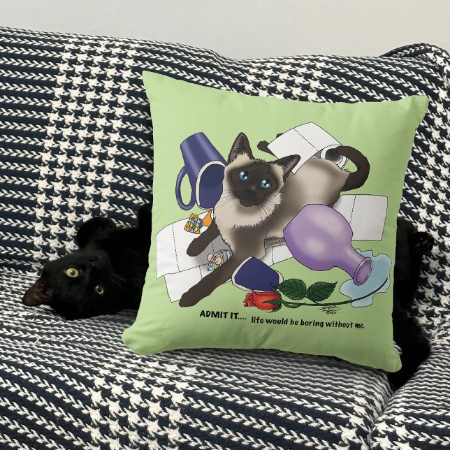 Admit it! throw pillow (Creator Uploaded)