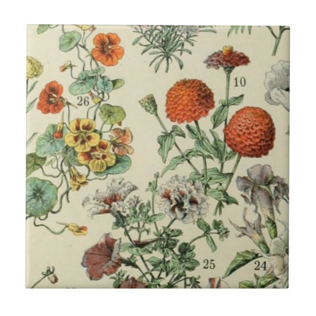 Adolph Millot Botanical Floral Detail 3 Tile (Front)