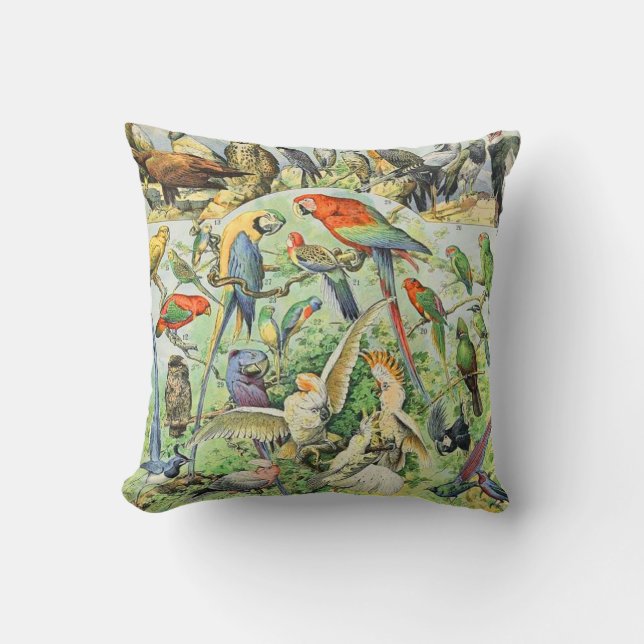 Adolphe Millot birds A Throw Pillow (Front)