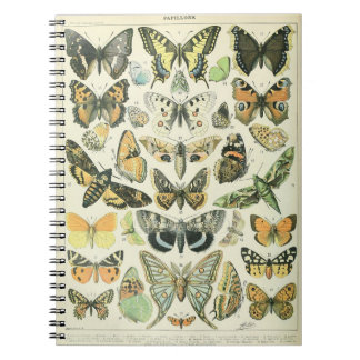 Adolphe Millot Butterflies Pattern-A Notebook