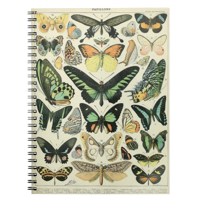 Adolphe Millot Butterflies Pattern-B Notebook (Front)
