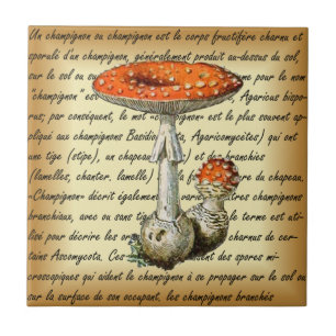 Adolphe Millot ~ Champignons-pour tous-fixed ~  Tile