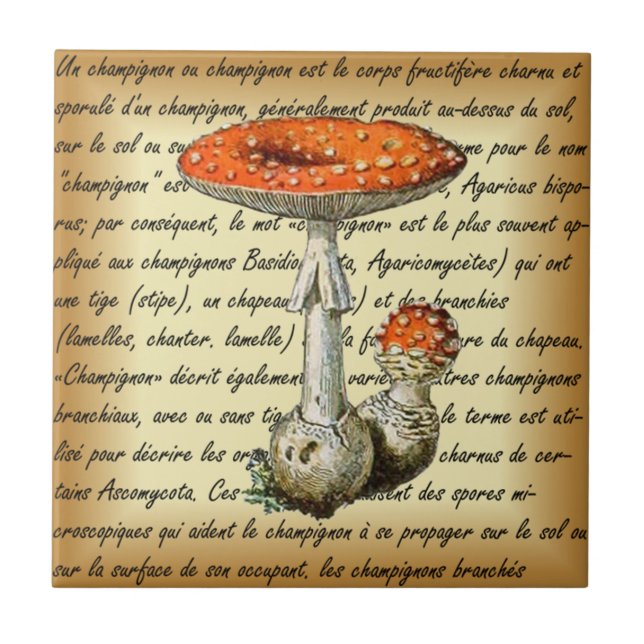 Adolphe Millot ~ Champignons-pour tous-fixed ~  Tile (Front)