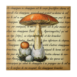 Adolphe Millot ~ Champignons-pour tous-fixed ~  Tile