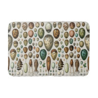 Adolphe Millot Dark Academia Vintage Bird Egg Art