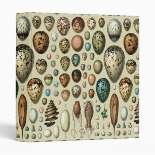 Adolphe Millot Dark Academia Vintage Bird Egg Art Binder