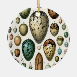 Adolphe Millot Dark Academia Vintage Bird Egg Art Ceramic Ornament