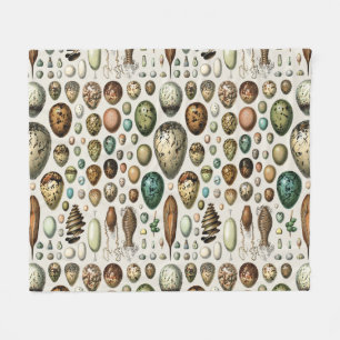 Adolphe Millot Dark Academia Vintage Bird Egg Art Fleece Blanket