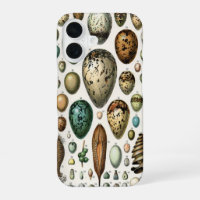 Adolphe Millot Dark Academia Vintage Bird Egg Art