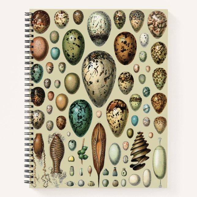 Adolphe Millot Dark Academia Vintage Bird Egg Art Notebook (Front)