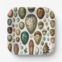 Adolphe Millot Dark Academia Vintage Bird Egg Art