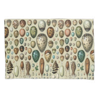 Adolphe Millot Dark Academia Vintage Bird Egg Art
