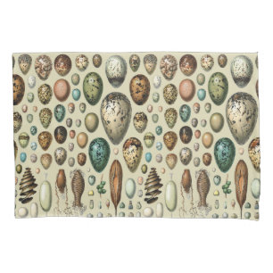 Adolphe Millot Dark Academia Vintage Bird Egg Art Pillowcase