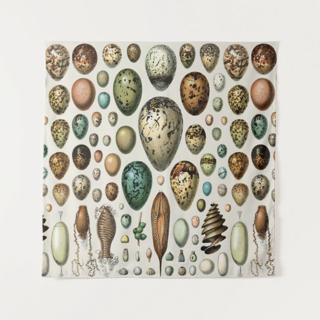 Adolphe Millot Dark Academia Vintage Bird Egg Art Tapestry (Front)