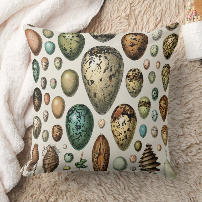Adolphe Millot Dark Academia Vintage Bird Egg Art Throw Pillow (Blanket)