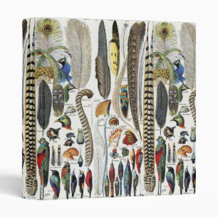 Adolphe Millot Dark Academia Vintage Bird Feather Binder