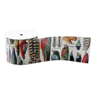 Adolphe Millot Dark Academia Vintage Bird Feather Grosgrain Ribbon