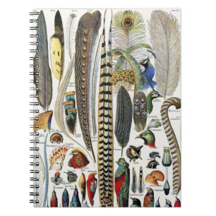 Adolphe Millot Dark Academia Vintage Bird Feather Notebook