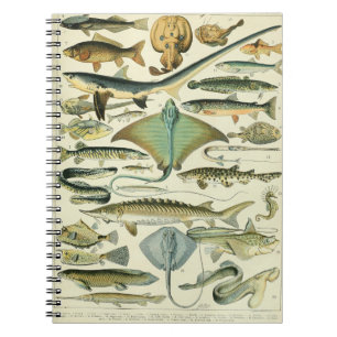 Adolphe Millot Fish Pattern-A Notebook