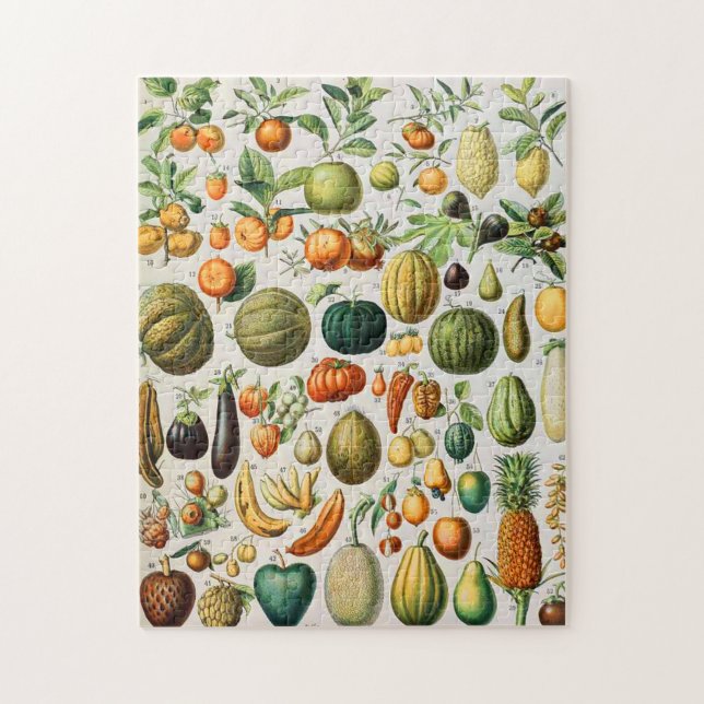 Adolphe Millot fruits B Jigsaw Puzzle (Vertical)