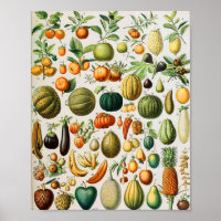 Adolphe Millot fruits B