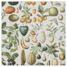 Adolphe Millot Fruits