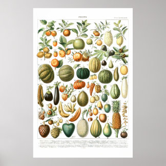 Adolphe Millot Fruits Poster