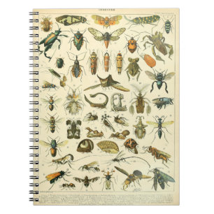 Adolphe Millot Insects Pattern-C Notebook