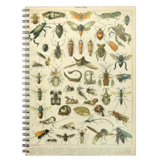Adolphe Millot Insects Pattern-C Notebook