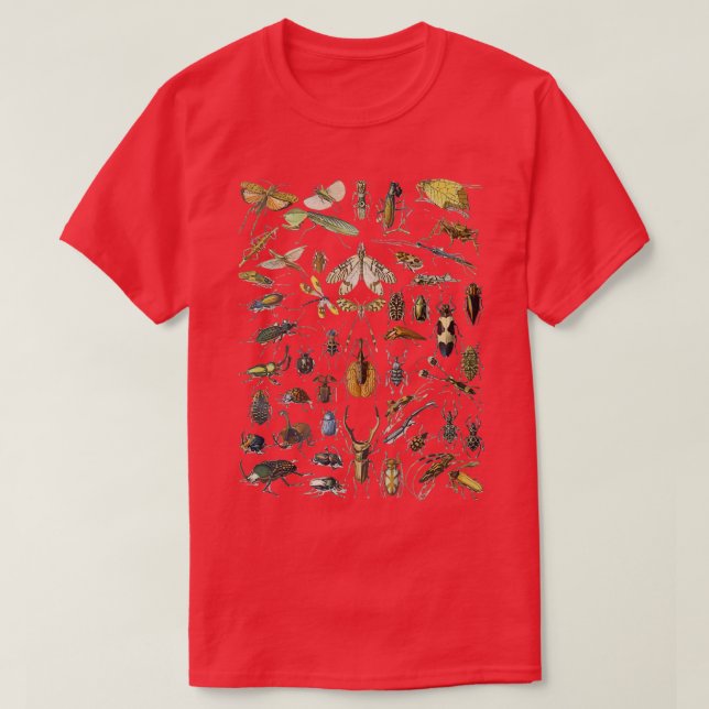 Adolphe Millot Insects Spider T-Shirt (Design Front)