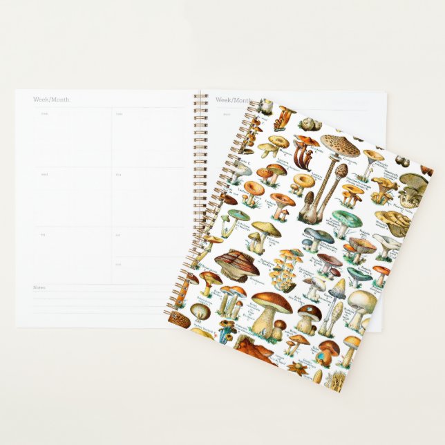 Adolphe Millot "Mushrooms” 3b Planner (Display)