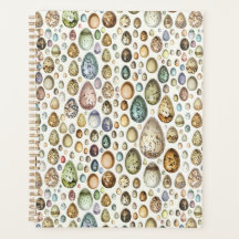 Adolphe Millot Ouefs Oeufs