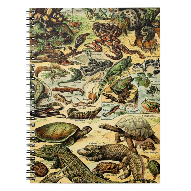 Adolphe Millot Reptiles 2 Carnets (Devant)