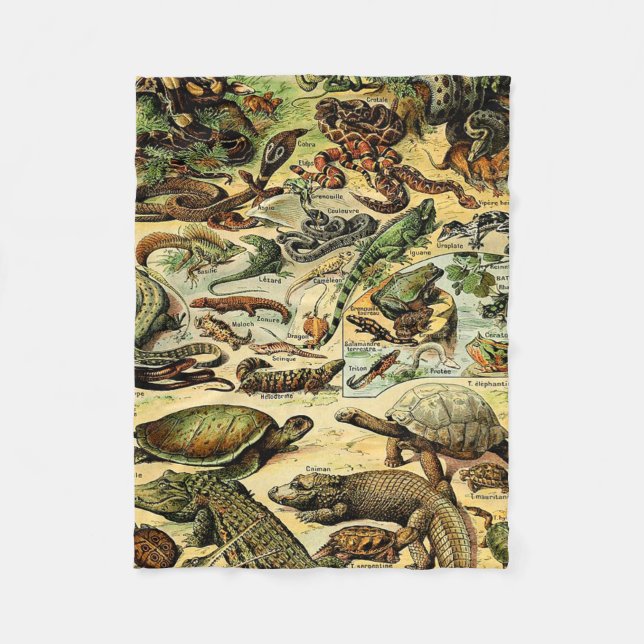 Adolphe Millot Reptiles 2 Fleece Blanket (Front)