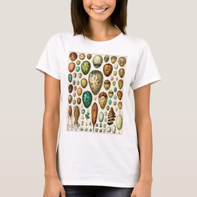 Adolphe Millot Vintage French Bird Eggs T-Shirt (Front)